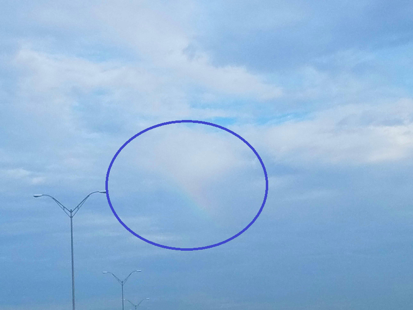 The Faintest Rainbows – The Way I See It